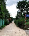 ban dat hung dinh thuan an